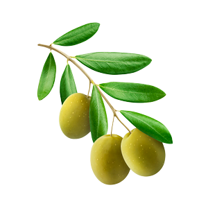 azeite de oliva extra virgem italiano