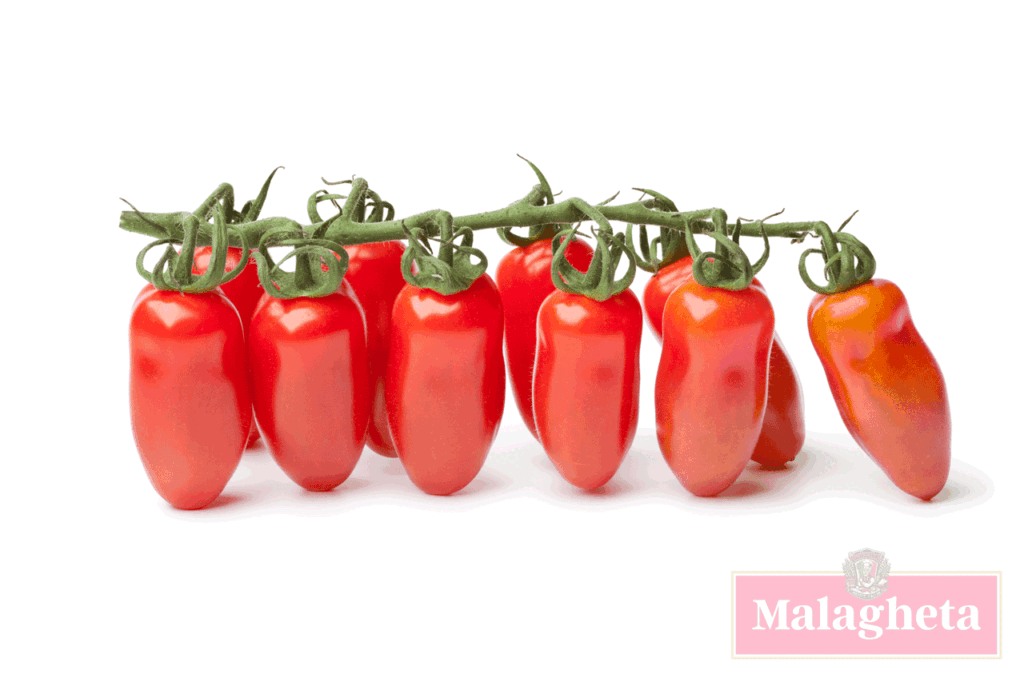 tomate san marzano